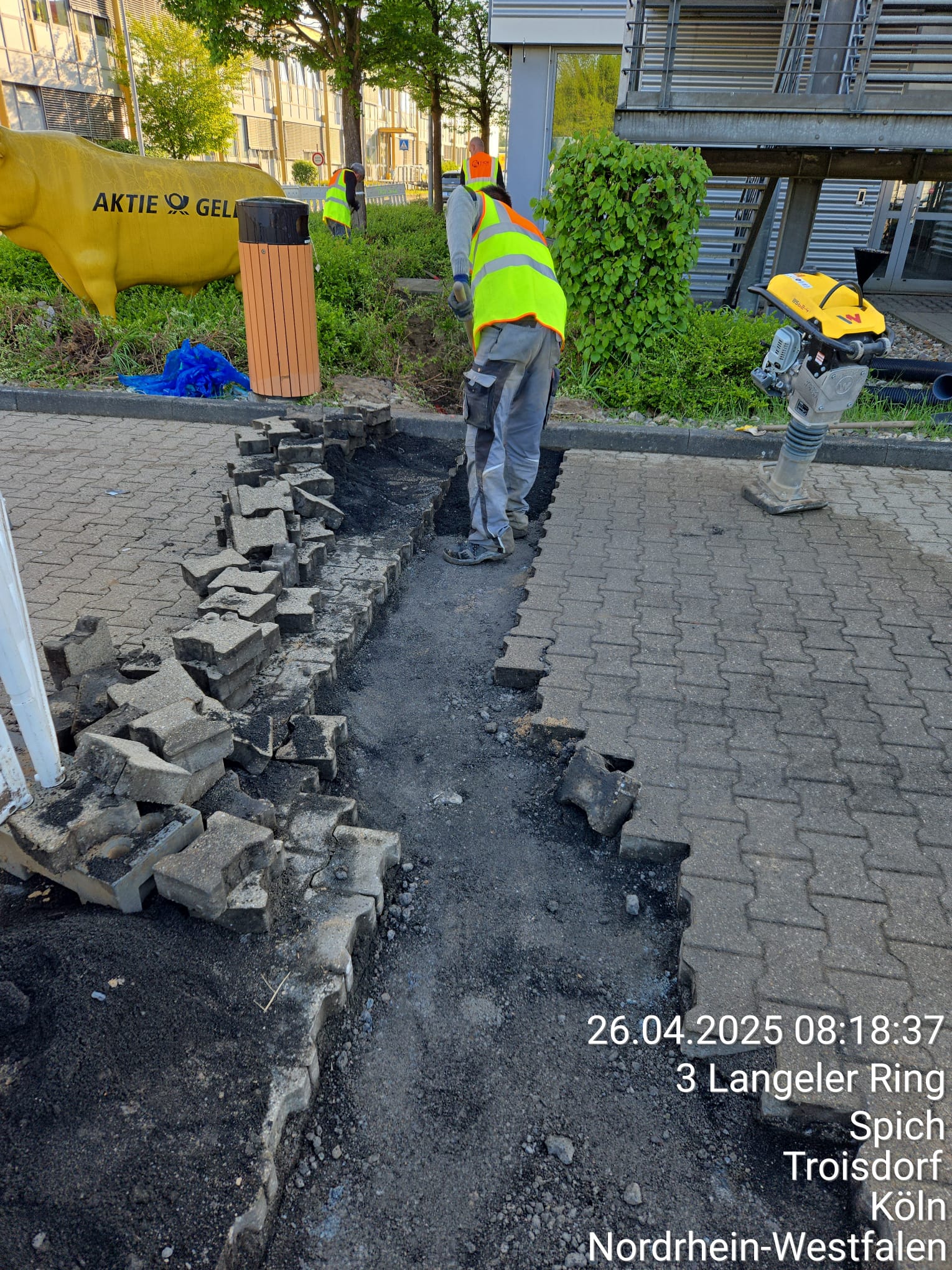 WhatsApp Image 2025-05-28 at 20.50.47