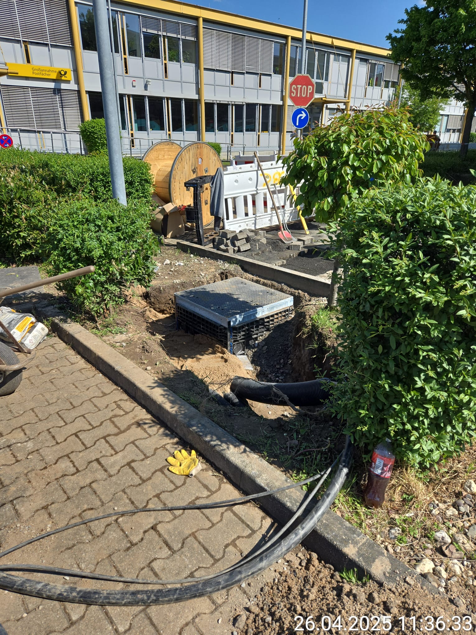 WhatsApp Image 2025-05-28 at 20.50.48