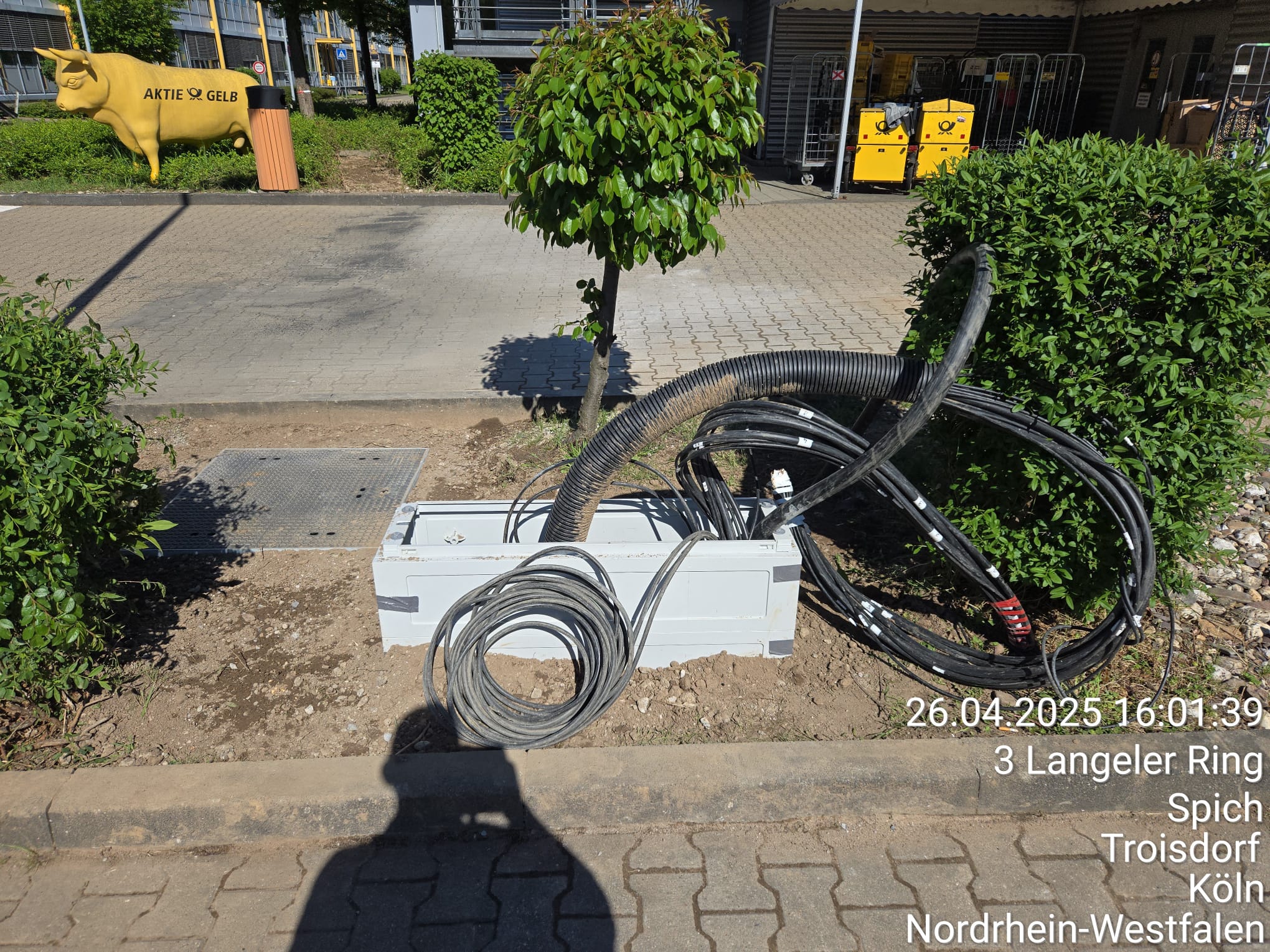 WhatsApp Image 2025-05-28 at 20.50.51