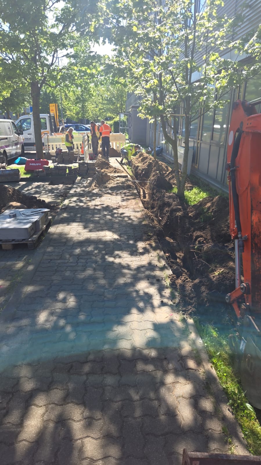 WhatsApp Image 2025-05-28 at 21.15.23